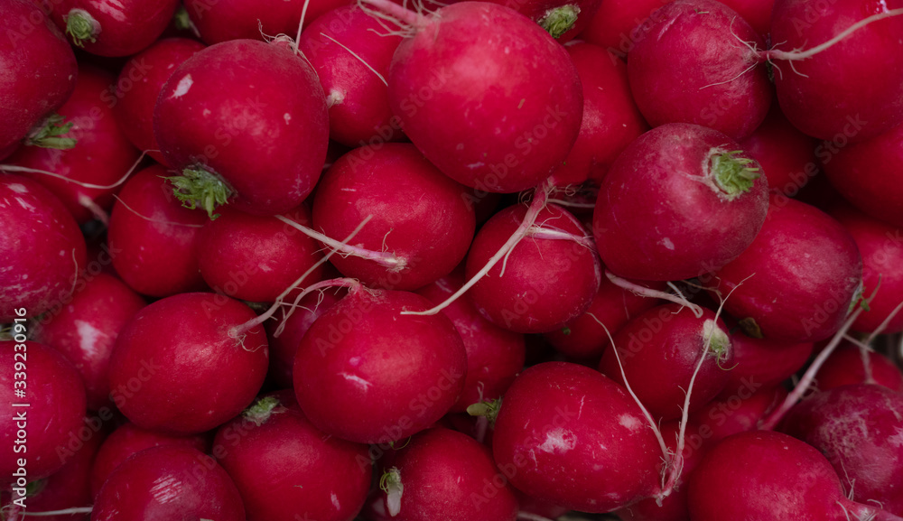 Red radishes, fresh pink radishes in the basket, fresh spring vegetables, vegetables on the table Red radishes, fresh pink radishes in the basket, fresh spring vegetables, vegetables on the table