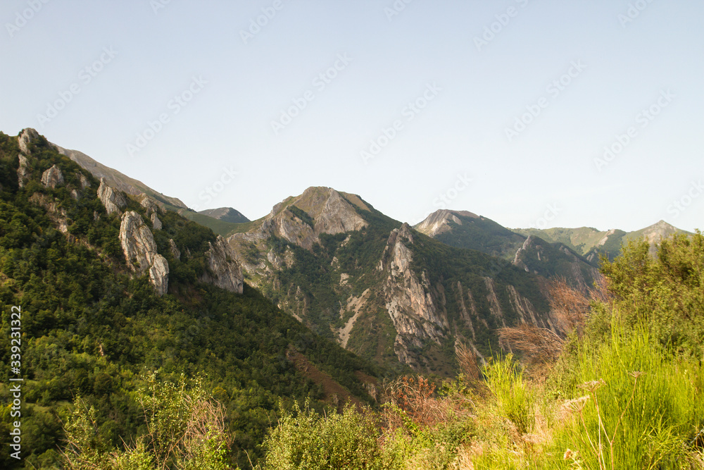 Naklejka premium Mountain landscape