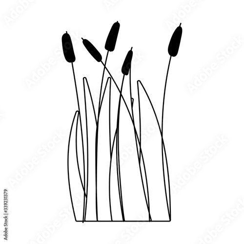 reed plant leaf grass swamp lake and river isolated icon on white background line style