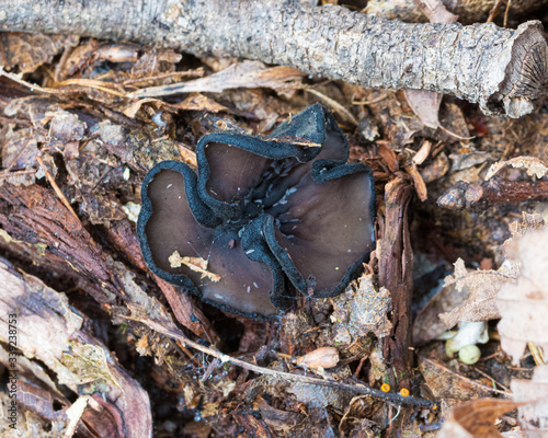 Devil's Urn  photo