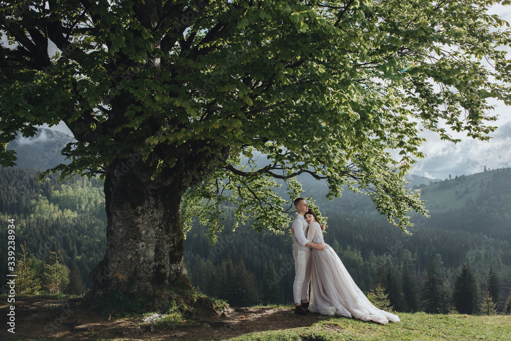 Spring wedding in the mountains. A young guy in a white shirt and trousers and a girl in a white dress are standing under the branches of a large tree in the mountains at sunset Spring wedding in the mountains. A young guy in a white shirt and trousers and a girl in a white dress are standing under the branches of a large tree in the mountains at sunset