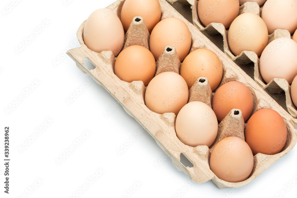 chicken eggs in an open cardboard box with eggs isolated on white. Fresh chicken eggs background. chicken eggs in an open cardboard box with eggs isolated on white. Fresh chicken eggs background.