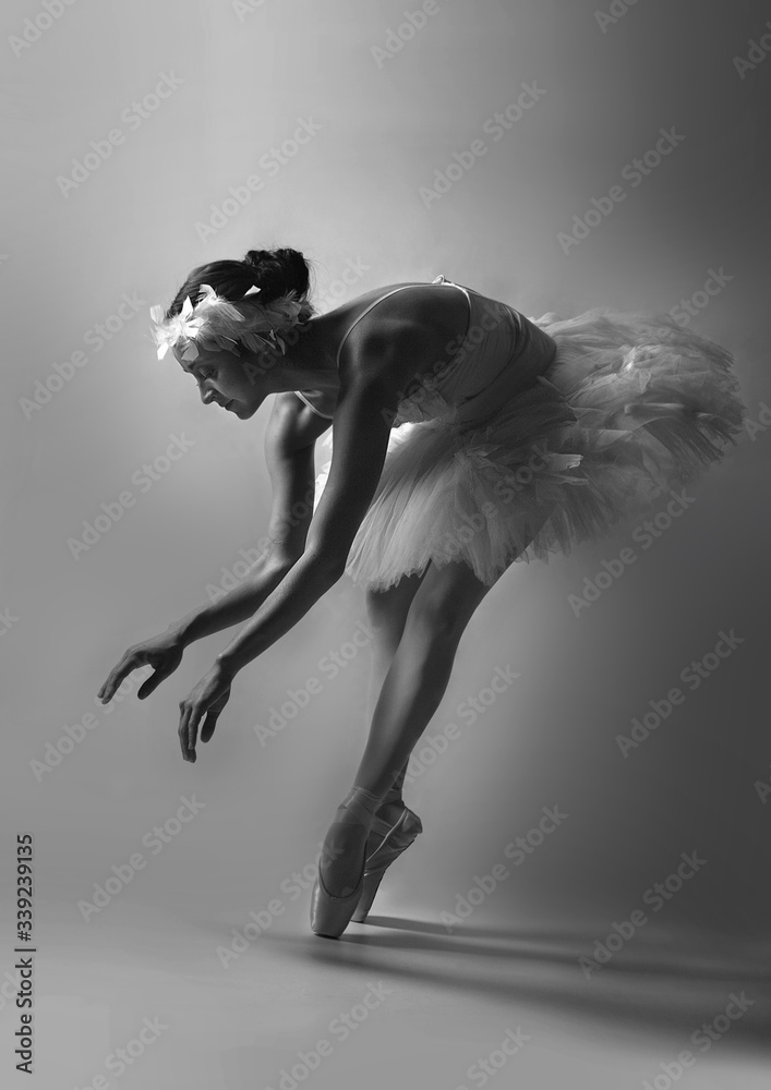 Swan Lake Stock Photo | Adobe Stock