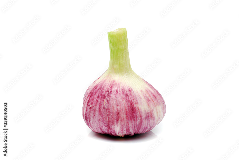 bulb of young spring garlic isolated on white background