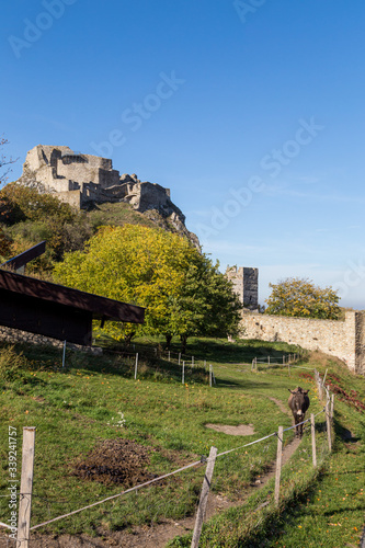 Canvas Print Devon castle,  Bratislava, slovakia capital