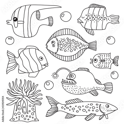 Vector sketch cartoon set of marine life objects for your design.