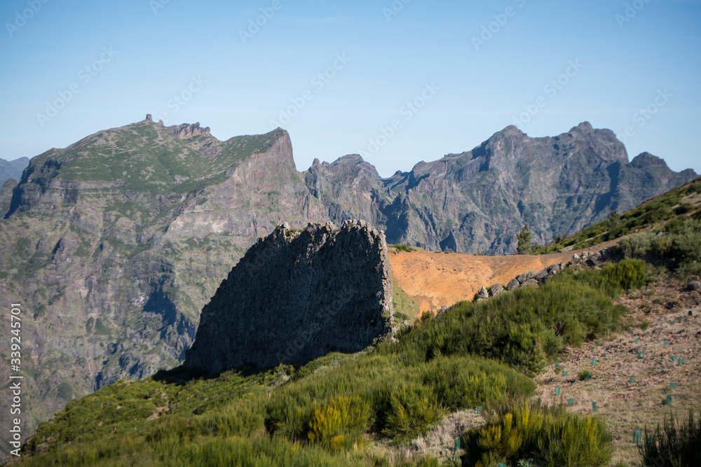 Naklejka premium PORTUGAL MADEIRA NATIONAL PARK LANDSCAPE