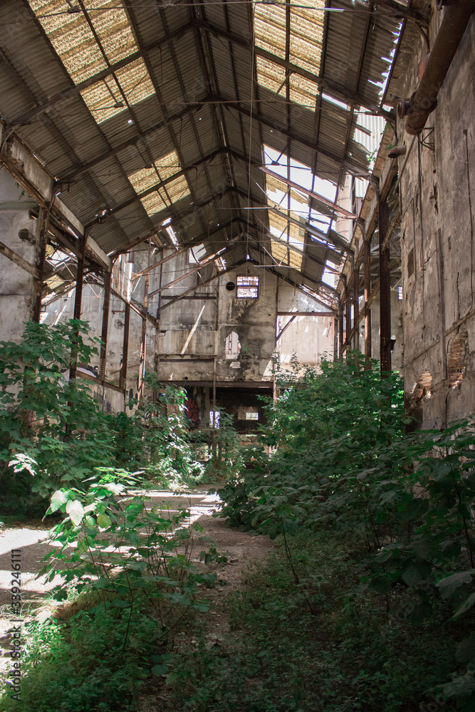 nave abandonada con vegetación