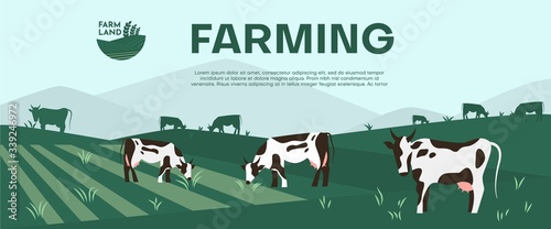 Cows farming on green meadow agricultural business concept.