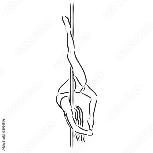Pole dancer on the pole. Beautiful young woman on the pole. vector sketch illustration