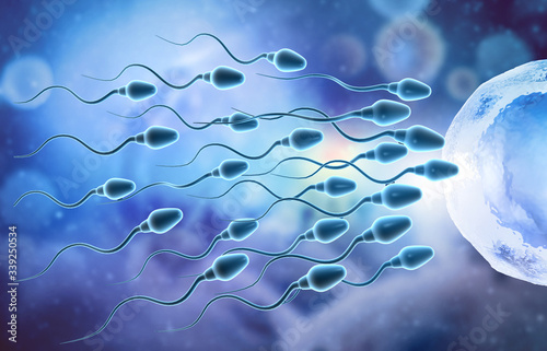 Φωτογραφία Eggs choose sperm, fertilization. 3d illustration.