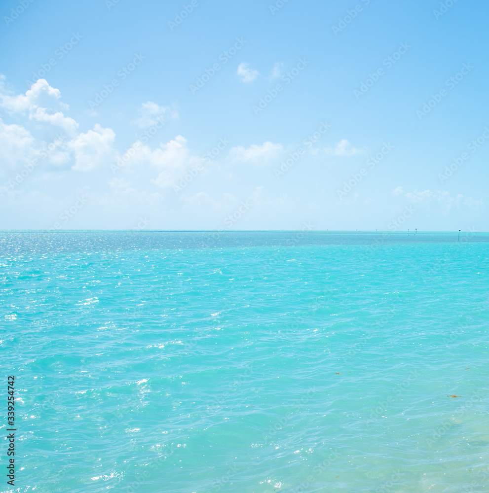 Obraz premium Turquoise sea and blue sky in Florida Keys shore