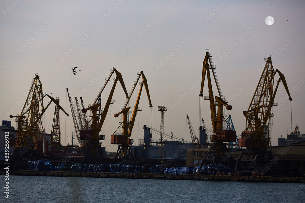 Harbor cranes in backlight. Port cranes at industrial sea port
