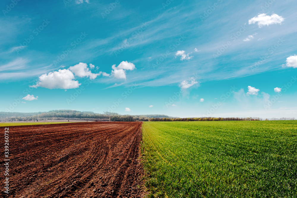 Plowed field in spring time with blue sky. Plowed field in spring time with blue sky.