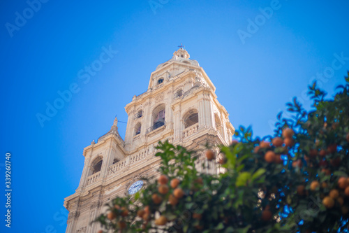 cathedral behind the orange tree