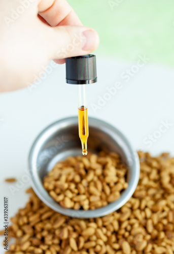 Canvas Print CBD and medical marijuana for pets, Food delicacy for dogs and cats, marijuana C