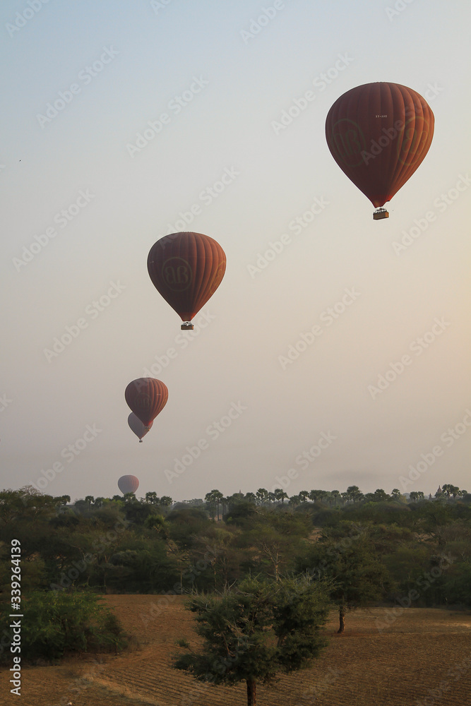 Obraz premium Hot air balloons at Bagan plain of temples