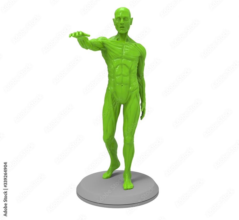3d illustration of the muscle man anatomy
3d illustration of the muscle man anatomy
