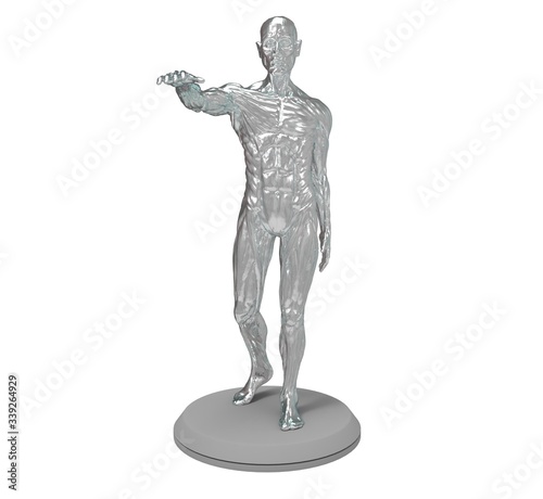 3d illustration of the muscle man anatomy  © avasylenko