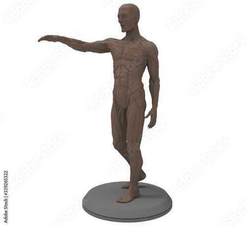 3d illustration of the muscle man anatomy 