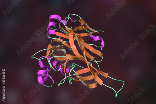 Hantavirus glycoprotein Gn, the molecule which forms surface spikes of the virus