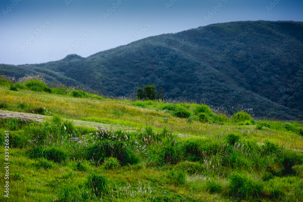  Beautiful green grass hill  near Aso volcano Kumamoto Japan