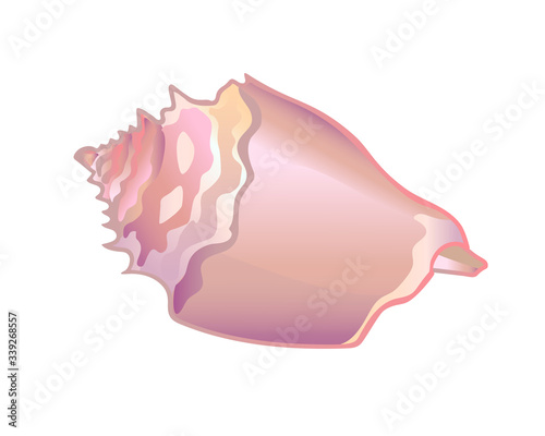 Shell Rapan. Mother of pearl soft pink seashell. Ocean clam in a shining pink shell - vector full color picture.