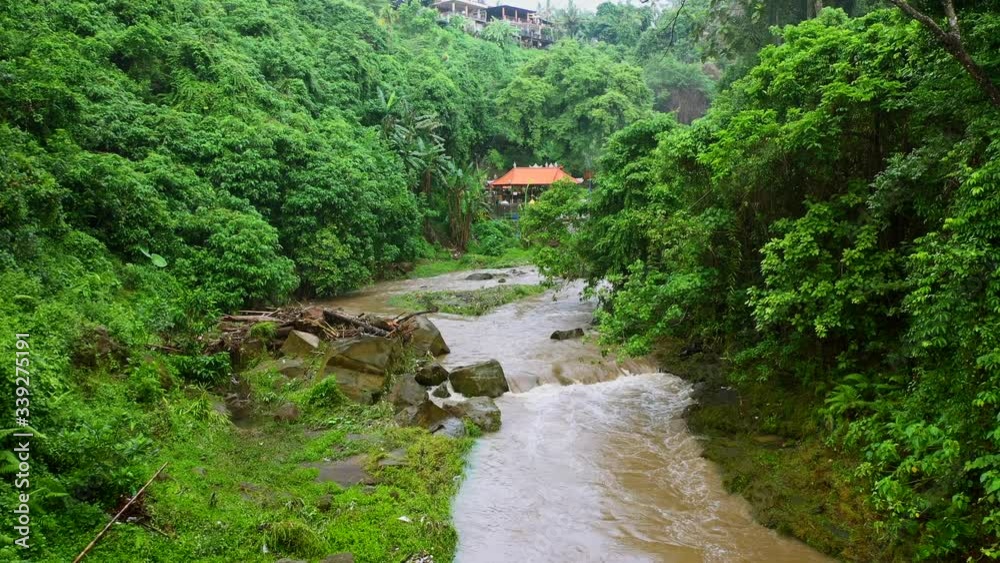 River, surrounded by lush rainforest on Bali. 4k footage. River, surrounded by lush rainforest on Bali. 4k footage.