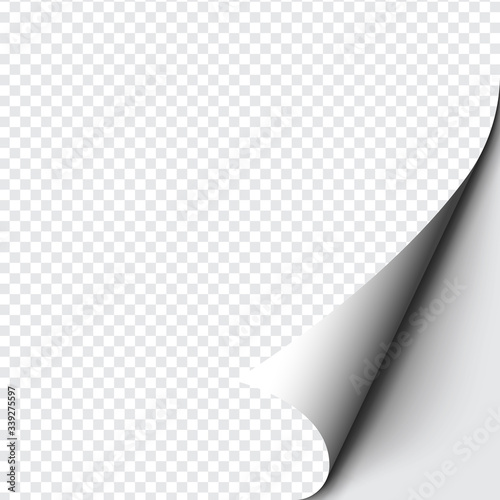 Curled corner of paper on transparent background with soft shadows, realistic paper page mock up.