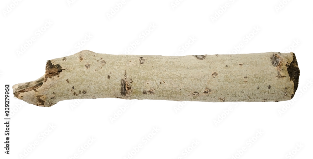 Fototapeta premium Tree branch or stick isolated on white background. Item for mock up, scene creator and other design