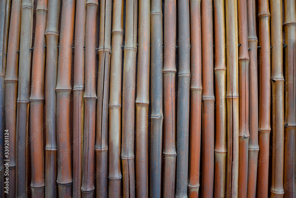 Naklejka premium Bamboo Textured Background