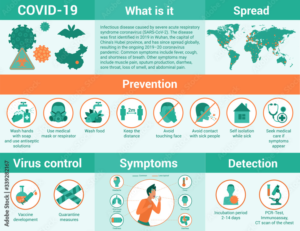 Detailed information about coronavirus, covid 19 infographic flat vector illustration. Everything you need to know at pandemic, definition, spread, prevention, virus control, symptoms, detection