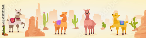 Cute artistic lamas character hand drawn cartoon vector illustration panorama landscape. Colored animals in different moods at traditional desert landscape with sand, cactus, stones, hot air banner