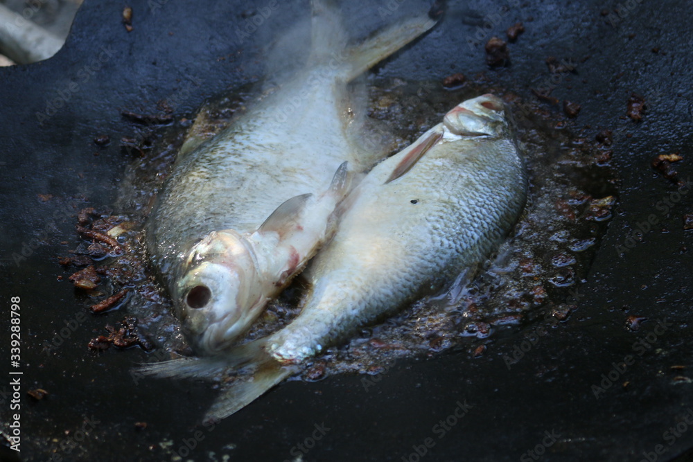 fry fish in nature, cook in nature fry fish in nature, cook in nature