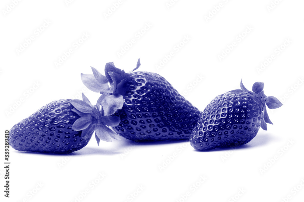 Three strawberries with strawberry leaf on white background. Phantom color trend 2020 Three strawberries with strawberry leaf on white background. Phantom color trend 2020