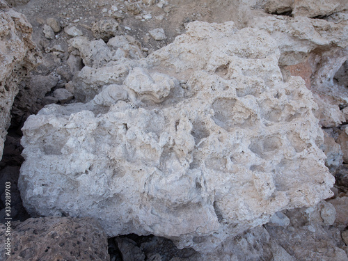 Beach rock and coral stone.  Natural background. 