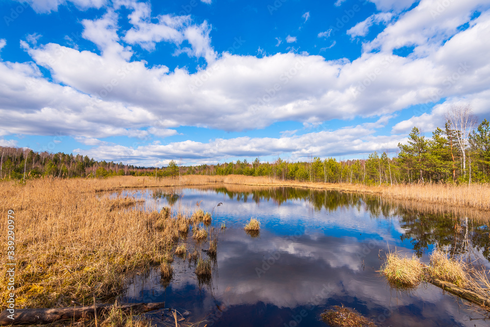 Small drying lake in Moscow region of Russia