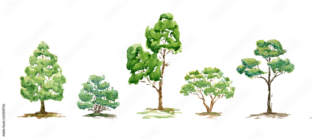 Fototapeta premium Watercolor summer trees, bush. Set of hand drawn green plants for background, poster, banner. Landscape. Nature