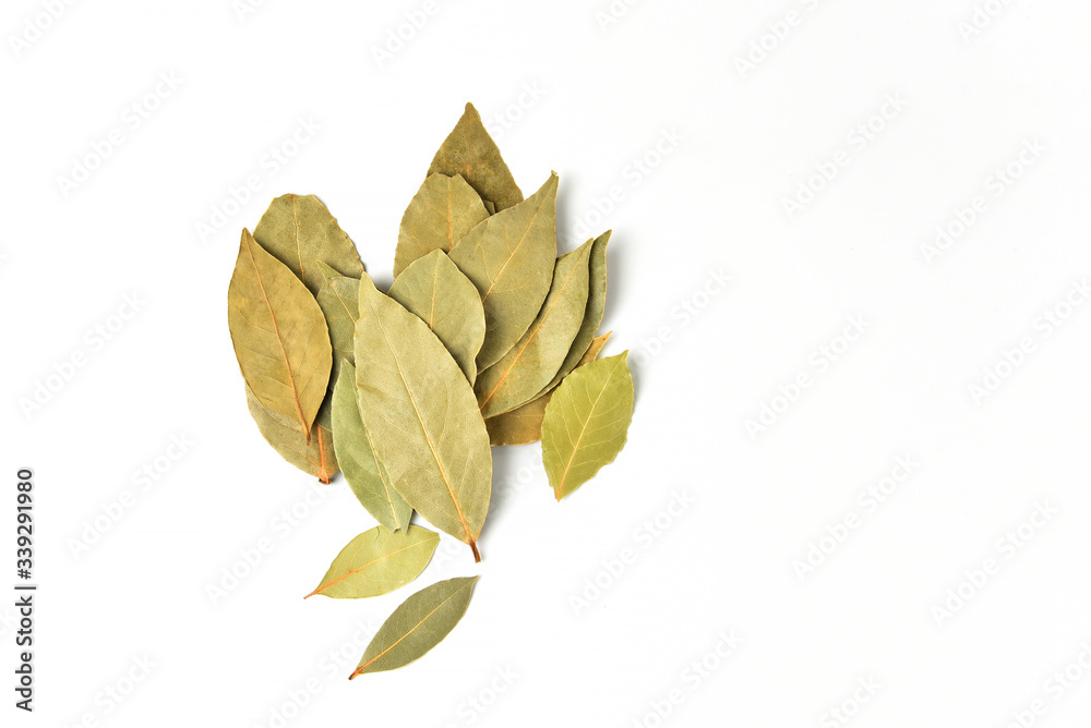 Dried bay leaves isolated on white background