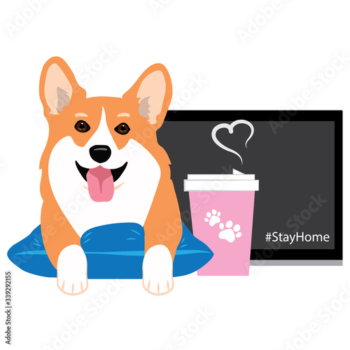 Cute corgi dog vector cartoon stock vector illustration isolated on white background. smiling welsh dog with coffee cup and laptop at home