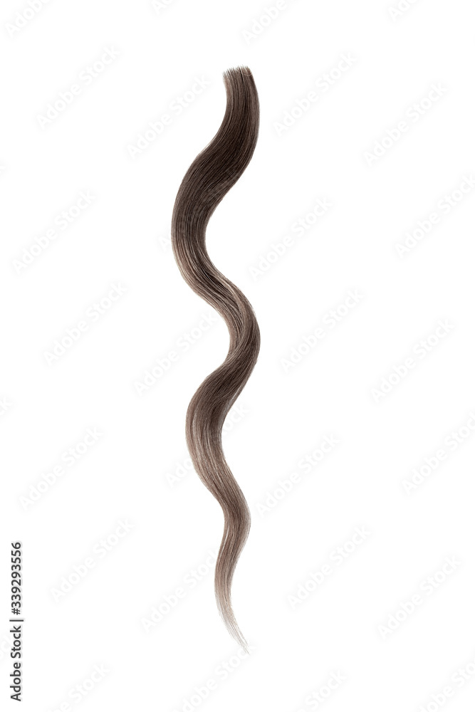 Fototapeta premium Brown hair wavy stripe on white, isolated