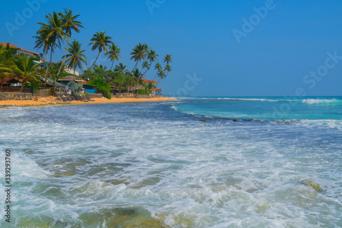 Palm trees on the shore of the Indian Ocean on the beach in Hikkaduwa  Sri Lanka.