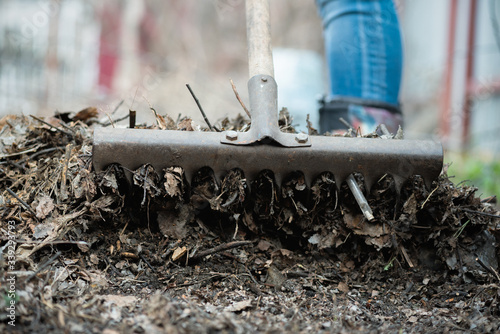 Wallpaper Mural Woman is cleaning a fallen leaves with a rake close up. Torontodigital.ca