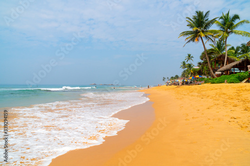 Beach on the Indian Ocean. Sunny day, yellow sand, palm trees and foam waves. © sandipruel