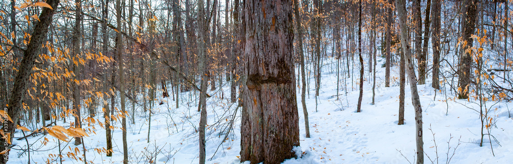 Tupper Lake Triad Winter Hiking Upstate New York Tupper Lake Triad Winter Hiking Upstate New York