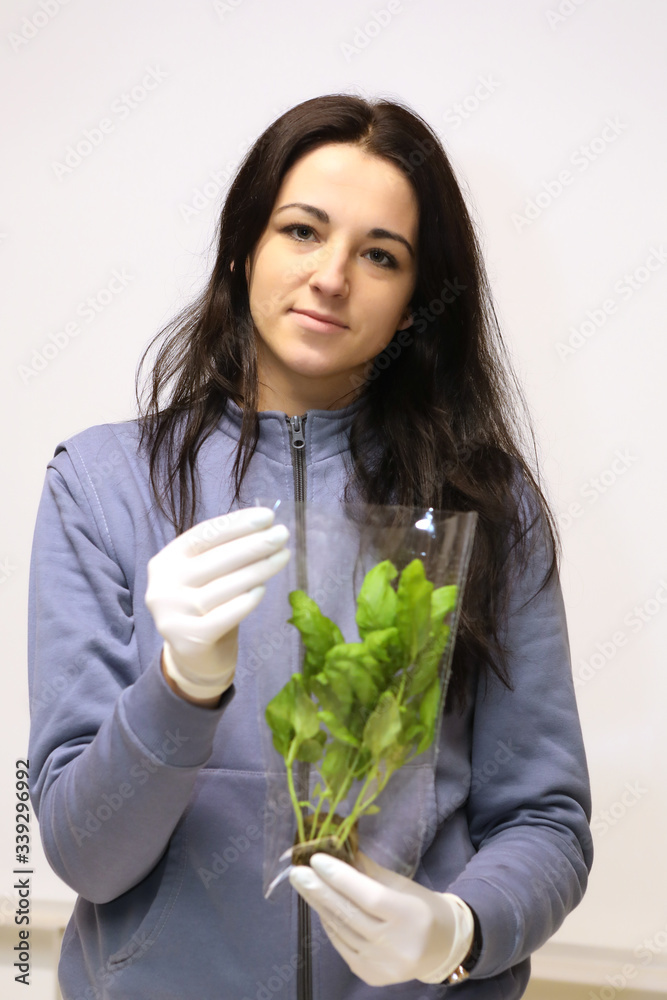 The girl works in the greenhouse. Growing plants aeroponics. Unique production of greenery and plants. Aeroponic system in plant production. An innovative method of growing plants a round year The girl works in the greenhouse. Growing plants aeroponics. Unique production of greenery and plants. Aeroponic system in plant production. An innovative method of growing plants a round year