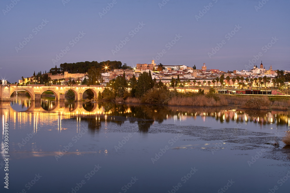 Badajoz city at night with river Guadiana in Spain