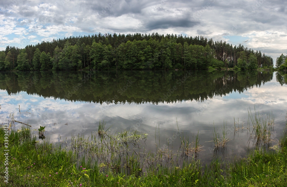 lake in the forest