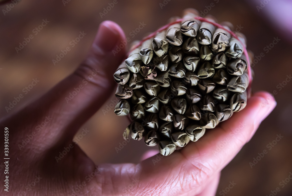 Hand-rolled cigars made in Inle Lake. Myanmar Hand-rolled cigars made in Inle Lake. Myanmar