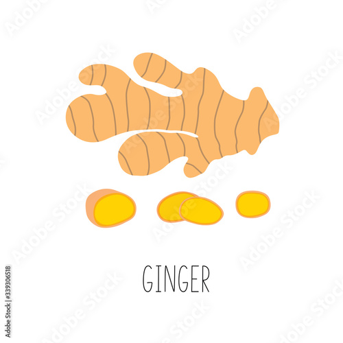 Fresh ginger and slices. Vector illustration isolated.